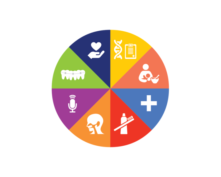 Comprehensive Cleft Care wheel